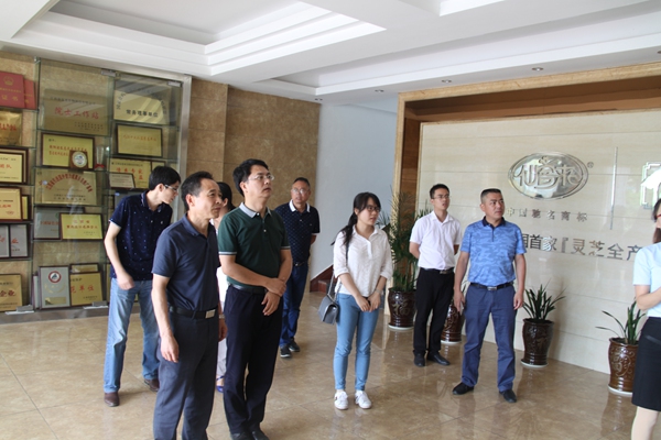 杭州亞運會官方靈芝產(chǎn)品供應(yīng)商|杭州亞運會官方供應(yīng)商|中國靈芝十大品牌|仙客來靈芝|仙客來靈芝破壁孢子粉|仙客來孢子油|仙客來靈芝飲片|仙客來破壁孢子粉|靈芝孢子油|孢子粉|靈芝破壁孢子粉|靈芝|中華老字號 杭州亞運會官方靈芝產(chǎn)品供應(yīng)商|杭州亞運會官方供應(yīng)商|中國靈芝十大品牌|仙客來靈芝|仙客來靈芝破壁孢子粉|仙客來孢子油|仙客來靈芝飲片|仙客來破壁孢子粉|靈芝孢子油|孢子粉|靈芝破壁孢子粉|靈芝|中華老字號