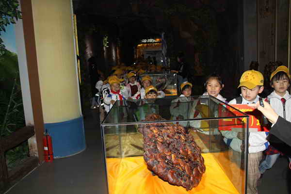 杭州亞運(yùn)會(huì)官方靈芝產(chǎn)品供應(yīng)商|杭州亞運(yùn)會(huì)官方供應(yīng)商|中國靈芝十大品牌|仙客來靈芝|仙客來靈芝破壁孢子粉|仙客來孢子油|仙客來靈芝飲片|仙客來破壁孢子粉|靈芝孢子油|孢子粉|靈芝破壁孢子粉|靈芝|中華老字號(hào) 杭州亞運(yùn)會(huì)官方靈芝產(chǎn)品供應(yīng)商|杭州亞運(yùn)會(huì)官方供應(yīng)商|中國靈芝十大品牌|仙客來靈芝|仙客來靈芝破壁孢子粉|仙客來孢子油|仙客來靈芝飲片|仙客來破壁孢子粉|靈芝孢子油|孢子粉|靈芝破壁孢子粉|靈芝|中華老字號(hào)