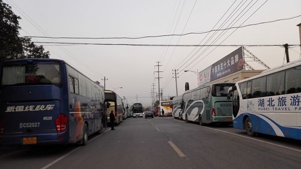 杭州亞運(yùn)會(huì)官方靈芝產(chǎn)品供應(yīng)商|杭州亞運(yùn)會(huì)官方供應(yīng)商|中國(guó)靈芝十大品牌|仙客來靈芝|仙客來靈芝破壁孢子粉|仙客來孢子油|仙客來靈芝飲片|仙客來破壁孢子粉|靈芝孢子油|孢子粉|靈芝破壁孢子粉|靈芝|中華老字號(hào) 杭州亞運(yùn)會(huì)官方靈芝產(chǎn)品供應(yīng)商|杭州亞運(yùn)會(huì)官方供應(yīng)商|中國(guó)靈芝十大品牌|仙客來靈芝|仙客來靈芝破壁孢子粉|仙客來孢子油|仙客來靈芝飲片|仙客來破壁孢子粉|靈芝孢子油|孢子粉|靈芝破壁孢子粉|靈芝|中華老字號(hào)