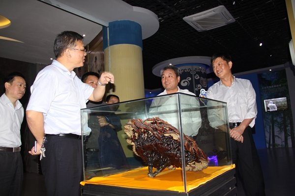 杭州亞運(yùn)會(huì)官方靈芝產(chǎn)品供應(yīng)商|杭州亞運(yùn)會(huì)官方供應(yīng)商|中國(guó)靈芝十大品牌|仙客來(lái)靈芝|仙客來(lái)靈芝破壁孢子粉|仙客來(lái)孢子油|仙客來(lái)靈芝飲片|仙客來(lái)破壁孢子粉|靈芝孢子油|孢子粉|靈芝破壁孢子粉|靈芝|中華老字號(hào)