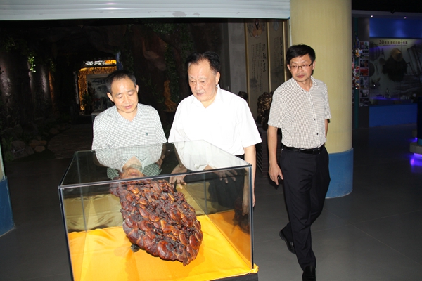 杭州亞運(yùn)會(huì)官方靈芝產(chǎn)品供應(yīng)商|杭州亞運(yùn)會(huì)官方供應(yīng)商|中國(guó)靈芝十大品牌|仙客來靈芝|仙客來靈芝破壁孢子粉|仙客來孢子油|仙客來靈芝飲片|仙客來破壁孢子粉|靈芝孢子油|孢子粉|靈芝破壁孢子粉|靈芝|中華老字號(hào)