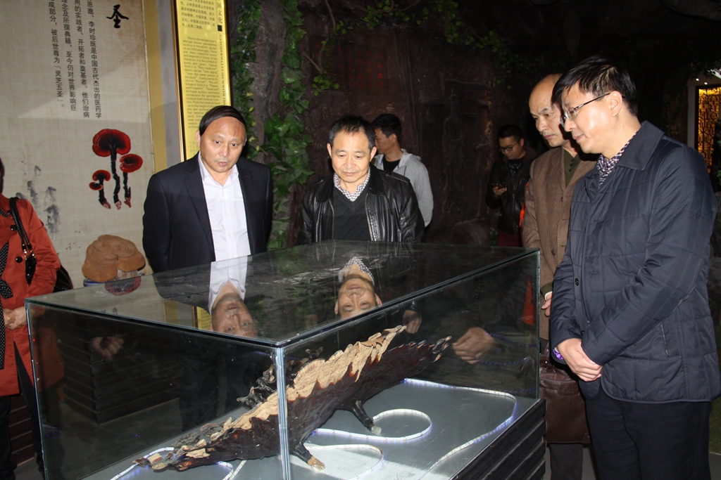 杭州亞運(yùn)會(huì)官方靈芝產(chǎn)品供應(yīng)商|杭州亞運(yùn)會(huì)官方供應(yīng)商|中國靈芝十大品牌|仙客來靈芝|仙客來靈芝破壁孢子粉|仙客來孢子油|仙客來靈芝飲片|仙客來破壁孢子粉|靈芝孢子油|孢子粉|靈芝破壁孢子粉|靈芝|中華老字號(hào) 杭州亞運(yùn)會(huì)官方靈芝產(chǎn)品供應(yīng)商|杭州亞運(yùn)會(huì)官方供應(yīng)商|中國靈芝十大品牌|仙客來靈芝|仙客來靈芝破壁孢子粉|仙客來孢子油|仙客來靈芝飲片|仙客來破壁孢子粉|靈芝孢子油|孢子粉|靈芝破壁孢子粉|靈芝|中華老字號(hào)