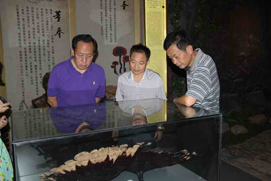 杭州亞運(yùn)會(huì)官方靈芝產(chǎn)品供應(yīng)商|杭州亞運(yùn)會(huì)官方供應(yīng)商|中國(guó)靈芝十大品牌|仙客來(lái)靈芝|仙客來(lái)靈芝破壁孢子粉|仙客來(lái)孢子油|仙客來(lái)靈芝飲片|仙客來(lái)破壁孢子粉|靈芝孢子油|孢子粉|靈芝破壁孢子粉|靈芝|中華老字號(hào) 杭州亞運(yùn)會(huì)官方靈芝產(chǎn)品供應(yīng)商|杭州亞運(yùn)會(huì)官方供應(yīng)商|中國(guó)靈芝十大品牌|仙客來(lái)靈芝|仙客來(lái)靈芝破壁孢子粉|仙客來(lái)孢子油|仙客來(lái)靈芝飲片|仙客來(lái)破壁孢子粉|靈芝孢子油|孢子粉|靈芝破壁孢子粉|靈芝|中華老字號(hào)