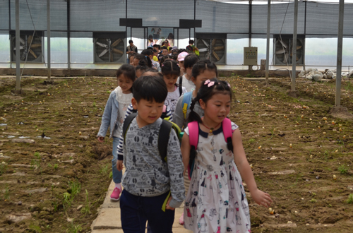 杭州亞運(yùn)會(huì)官方靈芝產(chǎn)品供應(yīng)商|杭州亞運(yùn)會(huì)官方供應(yīng)商|中國(guó)靈芝十大品牌|仙客來(lái)靈芝|仙客來(lái)靈芝破壁孢子粉|仙客來(lái)孢子油|仙客來(lái)靈芝飲片|仙客來(lái)破壁孢子粉|靈芝孢子油|孢子粉|靈芝破壁孢子粉|靈芝|中華老字號(hào) 杭州亞運(yùn)會(huì)官方靈芝產(chǎn)品供應(yīng)商|杭州亞運(yùn)會(huì)官方供應(yīng)商|中國(guó)靈芝十大品牌|仙客來(lái)靈芝|仙客來(lái)靈芝破壁孢子粉|仙客來(lái)孢子油|仙客來(lái)靈芝飲片|仙客來(lái)破壁孢子粉|靈芝孢子油|孢子粉|靈芝破壁孢子粉|靈芝|中華老字號(hào)