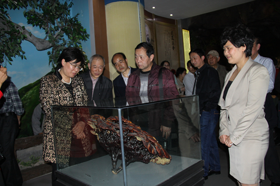 杭州亞運(yùn)會官方靈芝產(chǎn)品供應(yīng)商|杭州亞運(yùn)會官方供應(yīng)商|中國靈芝十大品牌|仙客來靈芝|仙客來靈芝破壁孢子粉|仙客來孢子油|仙客來靈芝飲片|仙客來破壁孢子粉|靈芝孢子油|孢子粉|靈芝破壁孢子粉|靈芝|中華老字號 杭州亞運(yùn)會官方靈芝產(chǎn)品供應(yīng)商|杭州亞運(yùn)會官方供應(yīng)商|中國靈芝十大品牌|仙客來靈芝|仙客來靈芝破壁孢子粉|仙客來孢子油|仙客來靈芝飲片|仙客來破壁孢子粉|靈芝孢子油|孢子粉|靈芝破壁孢子粉|靈芝|中華老字號