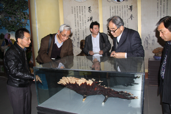 杭州亞運(yùn)會(huì)官方靈芝產(chǎn)品供應(yīng)商|杭州亞運(yùn)會(huì)官方供應(yīng)商|中國(guó)靈芝十大品牌|仙客來(lái)靈芝|仙客來(lái)靈芝破壁孢子粉|仙客來(lái)孢子油|仙客來(lái)靈芝飲片|仙客來(lái)破壁孢子粉|靈芝孢子油|孢子粉|靈芝破壁孢子粉|靈芝|中華老字號(hào) 杭州亞運(yùn)會(huì)官方靈芝產(chǎn)品供應(yīng)商|杭州亞運(yùn)會(huì)官方供應(yīng)商|中國(guó)靈芝十大品牌|仙客來(lái)靈芝|仙客來(lái)靈芝破壁孢子粉|仙客來(lái)孢子油|仙客來(lái)靈芝飲片|仙客來(lái)破壁孢子粉|靈芝孢子油|孢子粉|靈芝破壁孢子粉|靈芝|中華老字號(hào)