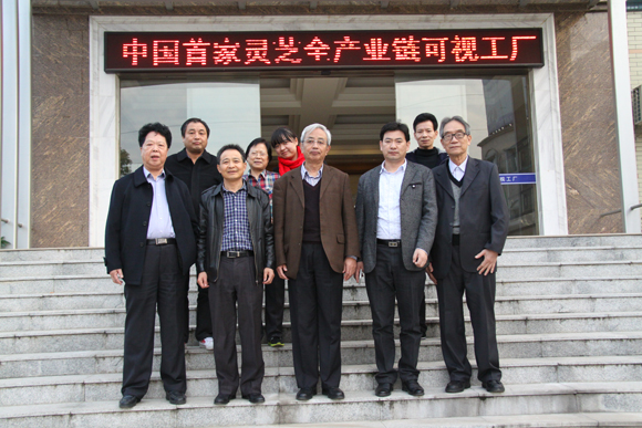 杭州亞運(yùn)會(huì)官方靈芝產(chǎn)品供應(yīng)商|杭州亞運(yùn)會(huì)官方供應(yīng)商|中國(guó)靈芝十大品牌|仙客來(lái)靈芝|仙客來(lái)靈芝破壁孢子粉|仙客來(lái)孢子油|仙客來(lái)靈芝飲片|仙客來(lái)破壁孢子粉|靈芝孢子油|孢子粉|靈芝破壁孢子粉|靈芝|中華老字號(hào) 杭州亞運(yùn)會(huì)官方靈芝產(chǎn)品供應(yīng)商|杭州亞運(yùn)會(huì)官方供應(yīng)商|中國(guó)靈芝十大品牌|仙客來(lái)靈芝|仙客來(lái)靈芝破壁孢子粉|仙客來(lái)孢子油|仙客來(lái)靈芝飲片|仙客來(lái)破壁孢子粉|靈芝孢子油|孢子粉|靈芝破壁孢子粉|靈芝|中華老字號(hào)