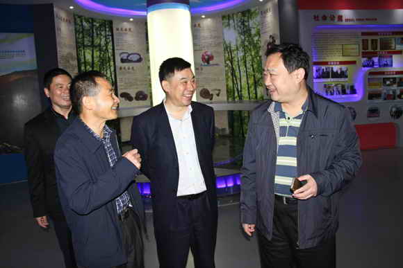 杭州亞運會官方靈芝產(chǎn)品供應(yīng)商|杭州亞運會官方供應(yīng)商|中國靈芝十大品牌|仙客來靈芝|仙客來靈芝破壁孢子粉|仙客來孢子油|仙客來靈芝飲片|仙客來破壁孢子粉|靈芝孢子油|孢子粉|靈芝破壁孢子粉|靈芝|中華老字號 杭州亞運會官方靈芝產(chǎn)品供應(yīng)商|杭州亞運會官方供應(yīng)商|中國靈芝十大品牌|仙客來靈芝|仙客來靈芝破壁孢子粉|仙客來孢子油|仙客來靈芝飲片|仙客來破壁孢子粉|靈芝孢子油|孢子粉|靈芝破壁孢子粉|靈芝|中華老字號