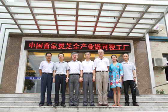 杭州亞運會官方靈芝產(chǎn)品供應商|杭州亞運會官方供應商|中國靈芝十大品牌|仙客來靈芝|仙客來靈芝破壁孢子粉|仙客來孢子油|仙客來靈芝飲片|仙客來破壁孢子粉|靈芝孢子油|孢子粉|靈芝破壁孢子粉|靈芝|中華老字號 杭州亞運會官方靈芝產(chǎn)品供應商|杭州亞運會官方供應商|中國靈芝十大品牌|仙客來靈芝|仙客來靈芝破壁孢子粉|仙客來孢子油|仙客來靈芝飲片|仙客來破壁孢子粉|靈芝孢子油|孢子粉|靈芝破壁孢子粉|靈芝|中華老字號