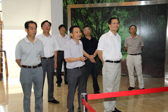 杭州亞運(yùn)會官方靈芝產(chǎn)品供應(yīng)商|杭州亞運(yùn)會官方供應(yīng)商|中國靈芝十大品牌|仙客來靈芝|仙客來靈芝破壁孢子粉|仙客來孢子油|仙客來靈芝飲片|仙客來破壁孢子粉|靈芝孢子油|孢子粉|靈芝破壁孢子粉|靈芝|中華老字號 杭州亞運(yùn)會官方靈芝產(chǎn)品供應(yīng)商|杭州亞運(yùn)會官方供應(yīng)商|中國靈芝十大品牌|仙客來靈芝|仙客來靈芝破壁孢子粉|仙客來孢子油|仙客來靈芝飲片|仙客來破壁孢子粉|靈芝孢子油|孢子粉|靈芝破壁孢子粉|靈芝|中華老字號