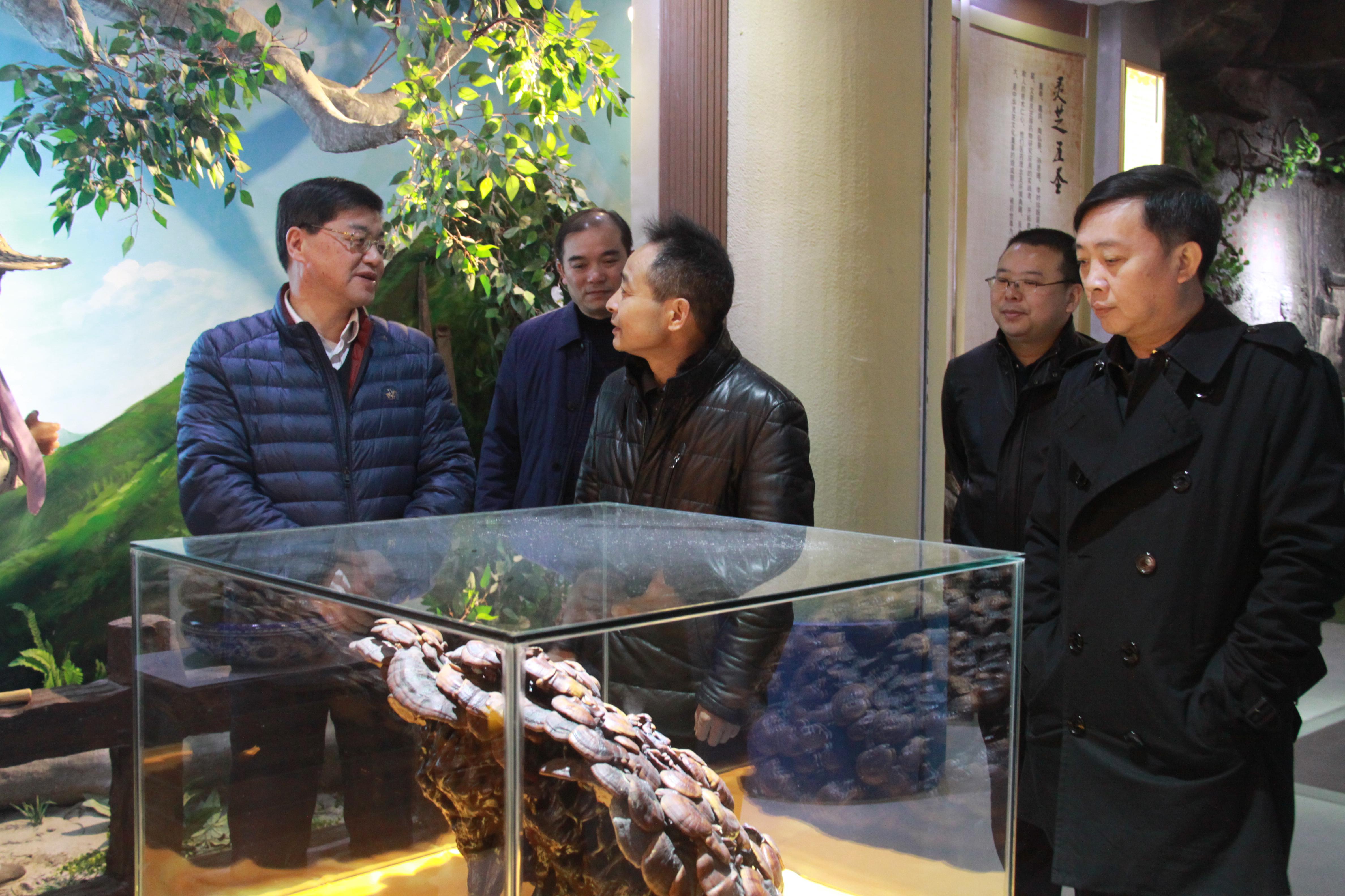 仙客來孢子粉|仙客來孢子油|仙客來靈芝|仙客來破壁孢子粉|江西老字號 仙客來孢子粉|仙客來孢子油|仙客來靈芝|仙客來破壁孢子粉|江西老字號