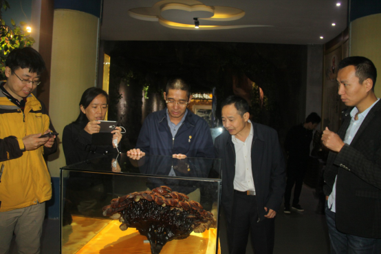 1540446882304851.png 杭州亞運(yùn)會(huì)官方靈芝產(chǎn)品供應(yīng)商|杭州亞運(yùn)會(huì)官方供應(yīng)商|中國靈芝十大品牌|仙客來靈芝|仙客來靈芝破壁孢子粉|仙客來孢子油|仙客來靈芝飲片|仙客來破壁孢子粉|靈芝孢子油|孢子粉|靈芝破壁孢子粉|靈芝|中華老字號