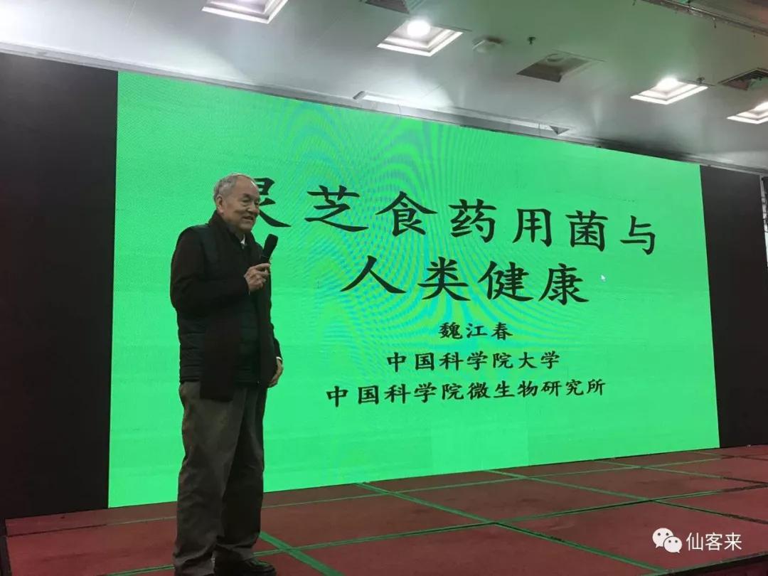 1544060422562126.jpg 杭州亞運會官方靈芝產(chǎn)品供應商|杭州亞運會官方供應商|中國靈芝十大品牌|仙客來靈芝|仙客來靈芝破壁孢子粉|仙客來孢子油|仙客來靈芝飲片|仙客來破壁孢子粉|靈芝孢子油|孢子粉|靈芝破壁孢子粉|靈芝|中華老字號