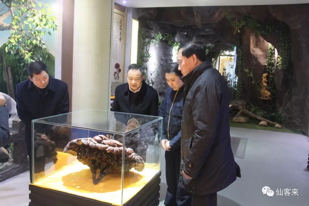 杭州亞運(yùn)會(huì)官方靈芝產(chǎn)品供應(yīng)商|杭州亞運(yùn)會(huì)官方供應(yīng)商|中國(guó)靈芝十大品牌|仙客來(lái)靈芝|仙客來(lái)靈芝破壁孢子粉|仙客來(lái)孢子油|仙客來(lái)靈芝飲片|仙客來(lái)破壁孢子粉|靈芝孢子油|孢子粉|靈芝破壁孢子粉|靈芝|中華老字號(hào) 杭州亞運(yùn)會(huì)官方靈芝產(chǎn)品供應(yīng)商|杭州亞運(yùn)會(huì)官方供應(yīng)商|中國(guó)靈芝十大品牌|仙客來(lái)靈芝|仙客來(lái)靈芝破壁孢子粉|仙客來(lái)孢子油|仙客來(lái)靈芝飲片|仙客來(lái)破壁孢子粉|靈芝孢子油|孢子粉|靈芝破壁孢子粉|靈芝|中華老字號(hào)