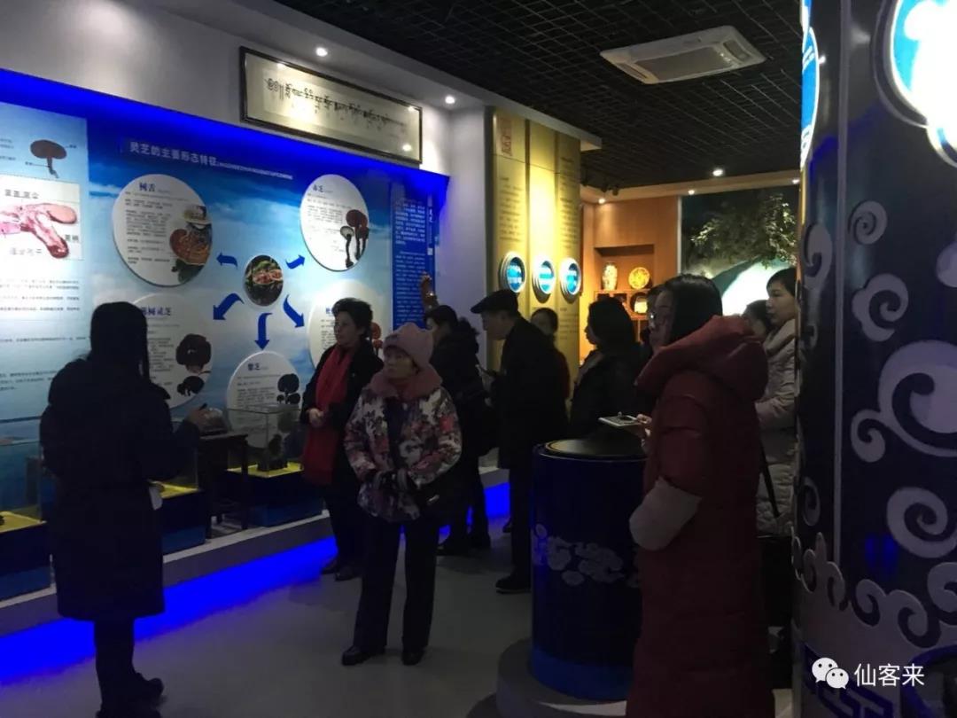 中國靈芝十大品牌|仙客來靈芝|仙客來靈芝破壁孢子粉|仙客來孢子油|仙客來靈芝飲片|仙客來破壁孢子粉|仙客來靈芝中藥飲片|馳名商標(biāo)|www.yuayua.cn| 中國靈芝十大品牌|仙客來靈芝|仙客來靈芝破壁孢子粉|仙客來孢子油|仙客來靈芝飲片|仙客來破壁孢子粉|仙客來靈芝中藥飲片|馳名商標(biāo)|www.yuayua.cn|