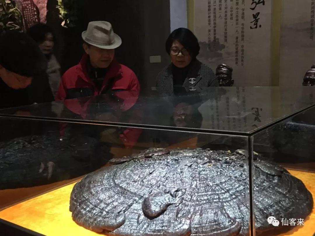 中國靈芝十大品牌|仙客來靈芝|仙客來靈芝破壁孢子粉|仙客來孢子油|仙客來靈芝飲片|仙客來破壁孢子粉|仙客來靈芝中藥飲片|馳名商標(biāo)|www.yuayua.cn| 中國靈芝十大品牌|仙客來靈芝|仙客來靈芝破壁孢子粉|仙客來孢子油|仙客來靈芝飲片|仙客來破壁孢子粉|仙客來靈芝中藥飲片|馳名商標(biāo)|www.yuayua.cn|