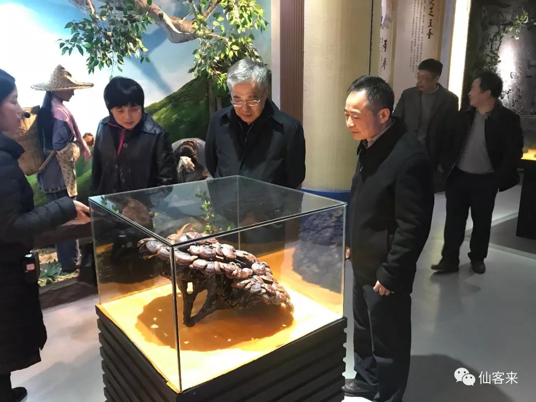 中國(guó)靈芝十大品牌|仙客來(lái)靈芝|仙客來(lái)靈芝破壁孢子粉|仙客來(lái)孢子油|仙客來(lái)靈芝飲片|仙客來(lái)破壁孢子粉|仙客來(lái)靈芝中藥飲片|馳名商標(biāo)|www.yuayua.cn|