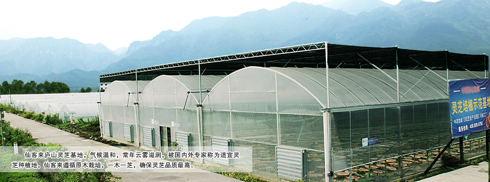 中國靈芝十大品牌|仙客來靈芝|仙客來靈芝破壁孢子粉|仙客來孢子油|仙客來靈芝飲片|仙客來破壁孢子粉|仙客來靈芝中藥飲片|馳名商標(biāo)|www.yuayua.cn| 中國靈芝十大品牌|仙客來靈芝|仙客來靈芝破壁孢子粉|仙客來孢子油|仙客來靈芝飲片|仙客來破壁孢子粉|仙客來靈芝中藥飲片|馳名商標(biāo)|www.yuayua.cn|