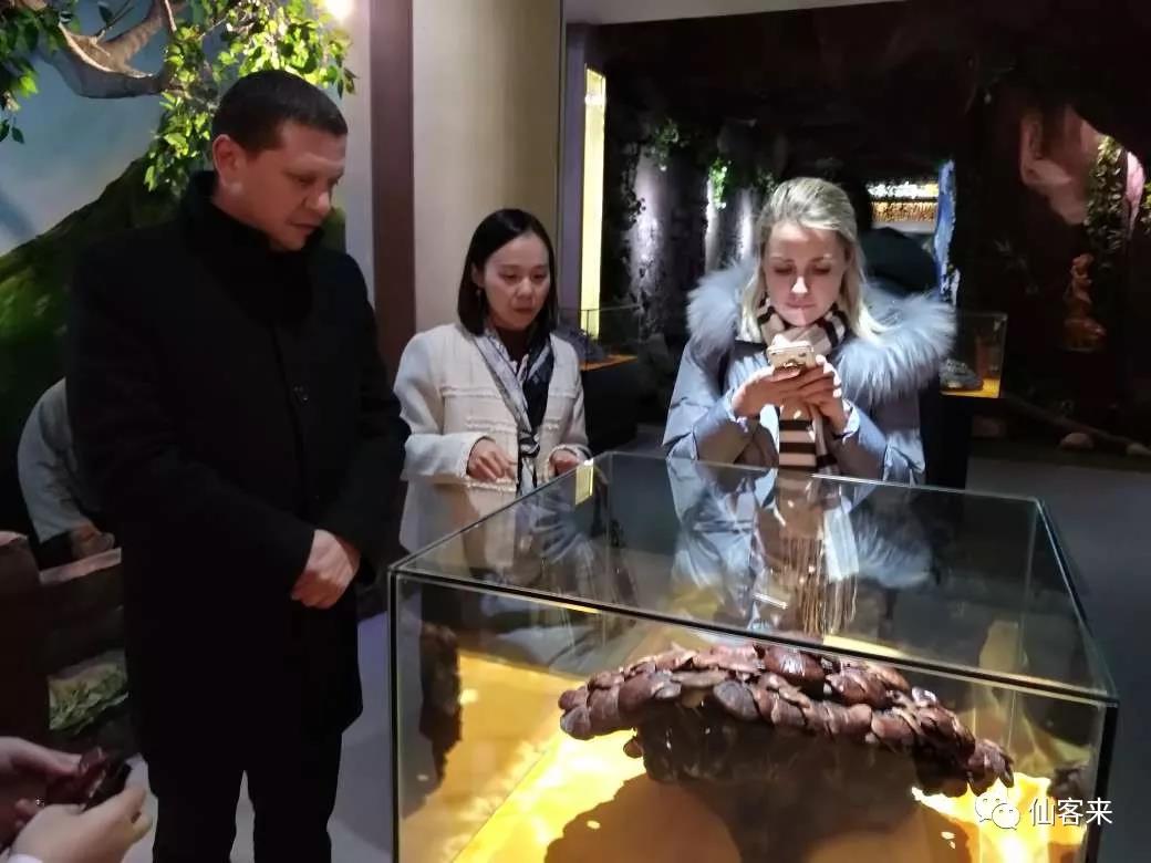 中國(guó)靈芝十大品牌|仙客來(lái)靈芝|仙客來(lái)靈芝破壁孢子粉|仙客來(lái)孢子油|仙客來(lái)靈芝飲片|仙客來(lái)破壁孢子粉|仙客來(lái)靈芝中藥飲片|馳名商標(biāo)|www.yuayua.cn| 中國(guó)靈芝十大品牌|仙客來(lái)靈芝|仙客來(lái)靈芝破壁孢子粉|仙客來(lái)孢子油|仙客來(lái)靈芝飲片|仙客來(lái)破壁孢子粉|仙客來(lái)靈芝中藥飲片|馳名商標(biāo)|www.yuayua.cn|