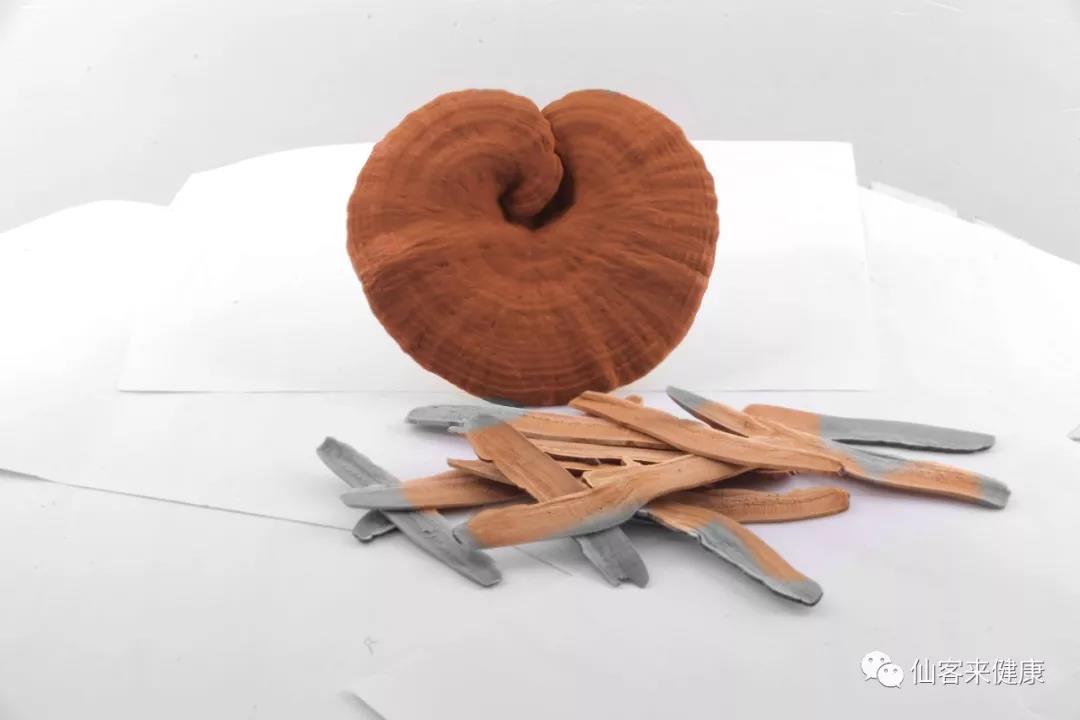 中國靈芝十大品牌|仙客來靈芝|仙客來靈芝破壁孢子粉|仙客來孢子油|仙客來靈芝飲片|仙客來破壁孢子粉|仙客來靈芝中藥飲片|馳名商標(biāo)|www.yuayua.cn| 中國靈芝十大品牌|仙客來靈芝|仙客來靈芝破壁孢子粉|仙客來孢子油|仙客來靈芝飲片|仙客來破壁孢子粉|仙客來靈芝中藥飲片|馳名商標(biāo)|www.yuayua.cn|