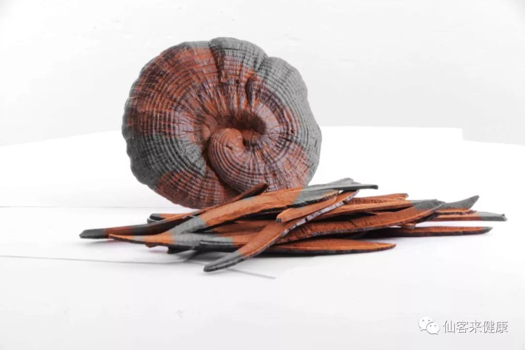 中國靈芝十大品牌|仙客來靈芝|仙客來靈芝破壁孢子粉|仙客來孢子油|仙客來靈芝飲片|仙客來破壁孢子粉|仙客來靈芝中藥飲片|馳名商標(biāo)|www.yuayua.cn| 中國靈芝十大品牌|仙客來靈芝|仙客來靈芝破壁孢子粉|仙客來孢子油|仙客來靈芝飲片|仙客來破壁孢子粉|仙客來靈芝中藥飲片|馳名商標(biāo)|www.yuayua.cn|