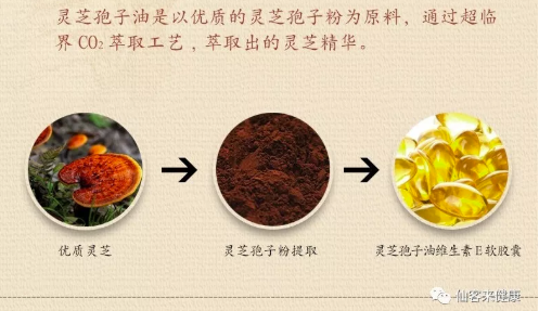 中國靈芝十大品牌|仙客來靈芝|仙客來靈芝破壁孢子粉|仙客來孢子油|仙客來靈芝飲片|仙客來破壁孢子粉|仙客來靈芝中藥飲片|馳名商標|www.yuayua.cn| 中國靈芝十大品牌|仙客來靈芝|仙客來靈芝破壁孢子粉|仙客來孢子油|仙客來靈芝飲片|仙客來破壁孢子粉|仙客來靈芝中藥飲片|馳名商標|www.yuayua.cn|