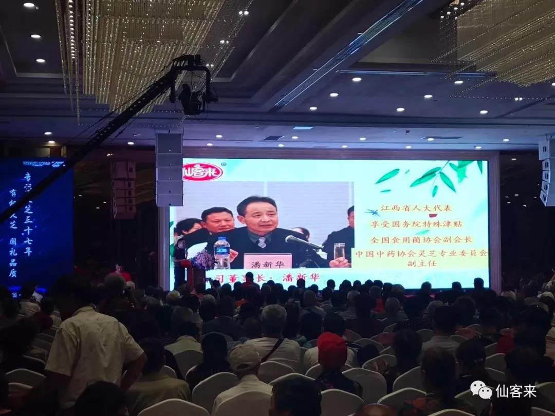 中國(guó)靈芝十大品牌|仙客來靈芝|仙客來靈芝破壁孢子粉|仙客來孢子油|仙客來靈芝飲片|仙客來破壁孢子粉|仙客來靈芝中藥飲片|馳名商標(biāo)|www.yuayua.cn| 中國(guó)靈芝十大品牌|仙客來靈芝|仙客來靈芝破壁孢子粉|仙客來孢子油|仙客來靈芝飲片|仙客來破壁孢子粉|仙客來靈芝中藥飲片|馳名商標(biāo)|www.yuayua.cn|