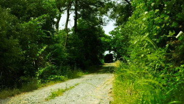 中國靈芝十大品牌|仙客來靈芝|仙客來靈芝破壁孢子粉|仙客來孢子油|仙客來靈芝飲片|仙客來破壁孢子粉|仙客來靈芝中藥飲片|馳名商標|www.yuayua.cn| 中國靈芝十大品牌|仙客來靈芝|仙客來靈芝破壁孢子粉|仙客來孢子油|仙客來靈芝飲片|仙客來破壁孢子粉|仙客來靈芝中藥飲片|馳名商標|www.yuayua.cn|