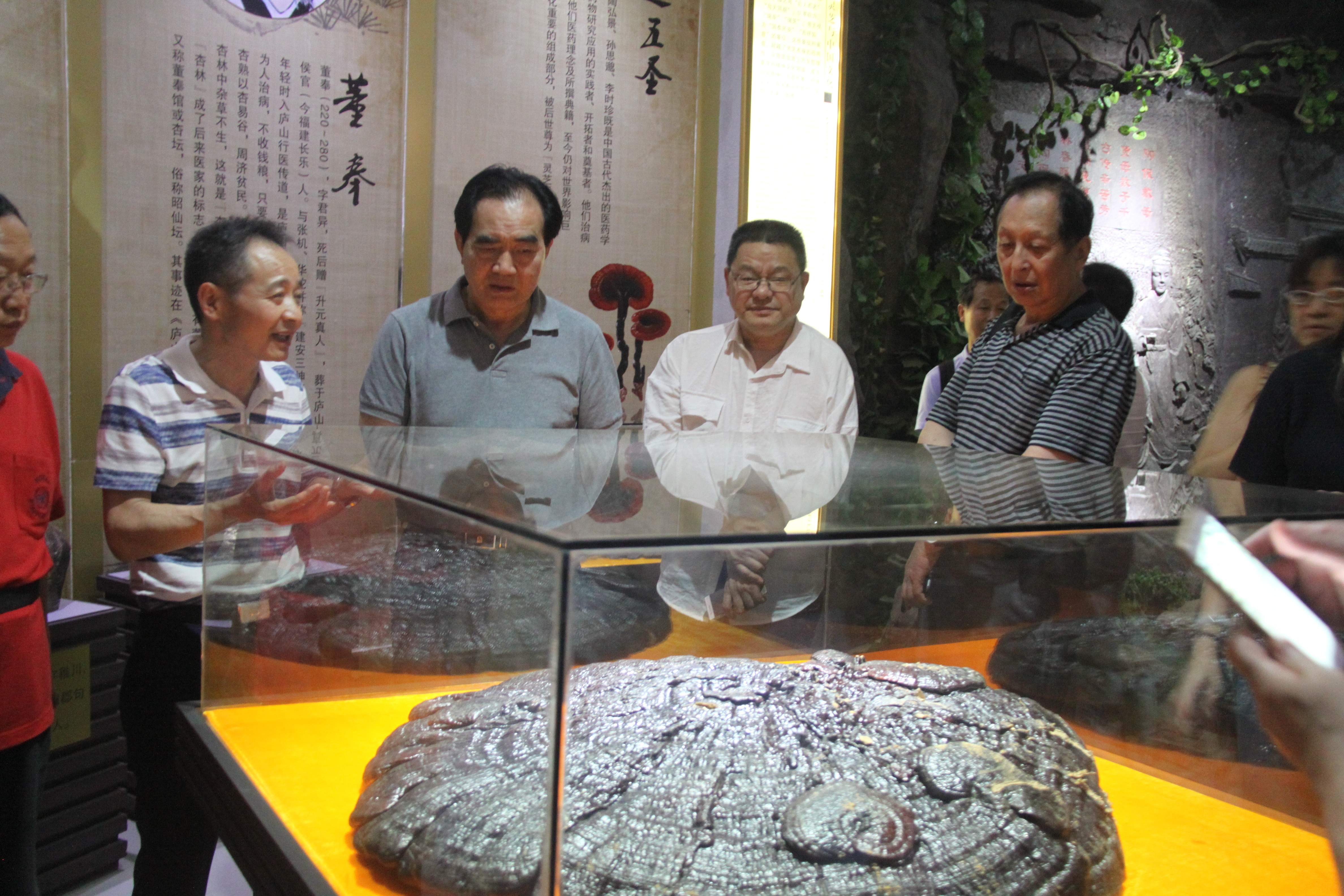 中國(guó)靈芝十大品牌|仙客來(lái)靈芝|仙客來(lái)靈芝破壁孢子粉|仙客來(lái)孢子油|仙客來(lái)靈芝飲片|仙客來(lái)破壁孢子粉|仙客來(lái)靈芝中藥飲片|馳名商標(biāo)|www.yuayua.cn| 中國(guó)靈芝十大品牌|仙客來(lái)靈芝|仙客來(lái)靈芝破壁孢子粉|仙客來(lái)孢子油|仙客來(lái)靈芝飲片|仙客來(lái)破壁孢子粉|仙客來(lái)靈芝中藥飲片|馳名商標(biāo)|www.yuayua.cn|