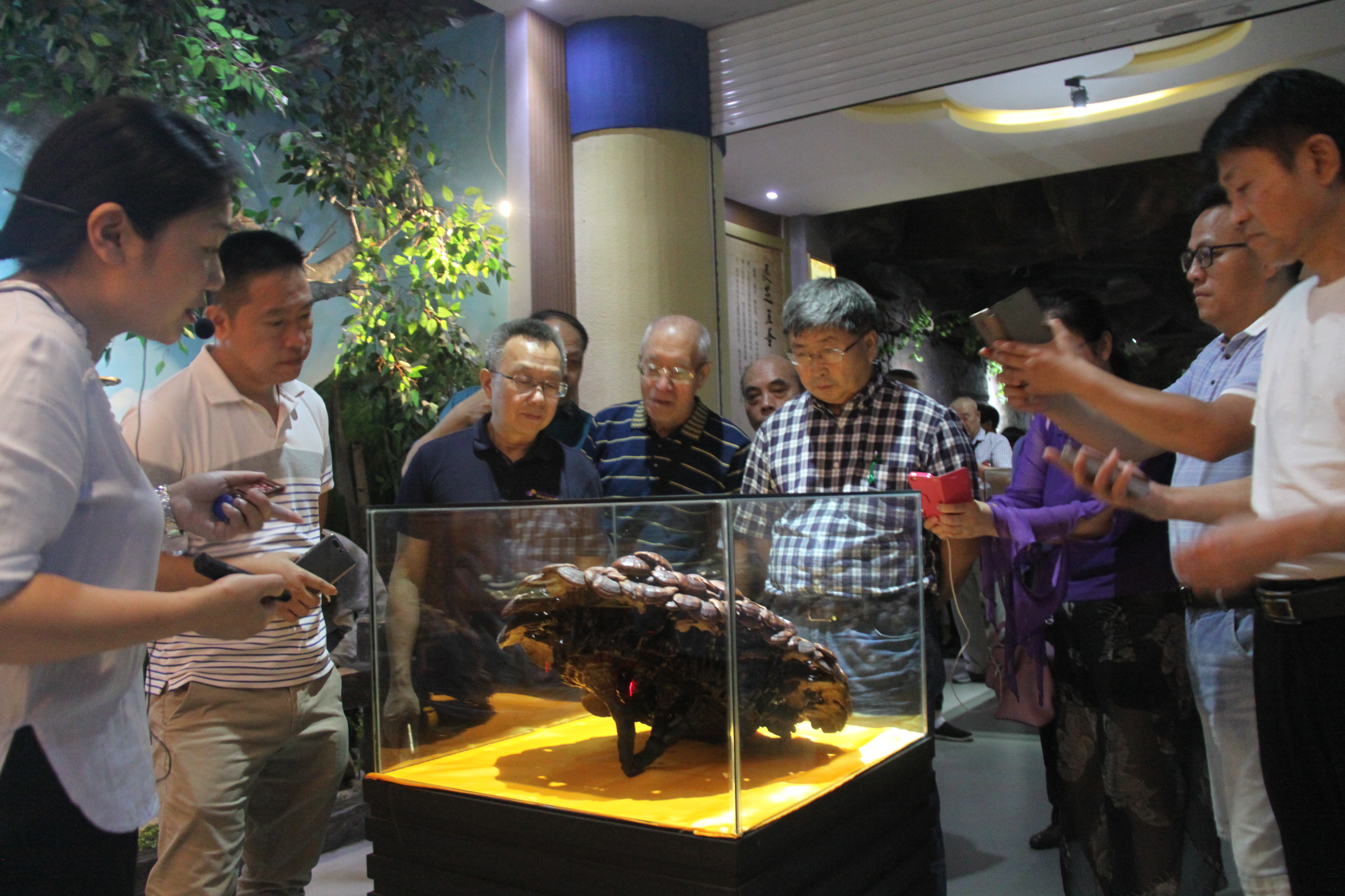 中國(guó)靈芝十大品牌|仙客來(lái)靈芝|仙客來(lái)靈芝破壁孢子粉|仙客來(lái)孢子油|仙客來(lái)靈芝飲片|仙客來(lái)破壁孢子粉|仙客來(lái)靈芝中藥飲片|馳名商標(biāo)|www.yuayua.cn| 中國(guó)靈芝十大品牌|仙客來(lái)靈芝|仙客來(lái)靈芝破壁孢子粉|仙客來(lái)孢子油|仙客來(lái)靈芝飲片|仙客來(lái)破壁孢子粉|仙客來(lái)靈芝中藥飲片|馳名商標(biāo)|www.yuayua.cn|