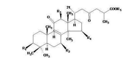 中國(guó)靈芝十大品牌|仙客來(lái)靈芝|仙客來(lái)靈芝破壁孢子粉|仙客來(lái)孢子油|仙客來(lái)靈芝飲片|仙客來(lái)破壁孢子粉|仙客來(lái)靈芝中藥飲片|馳名商標(biāo)|www.yuayua.cn| 中國(guó)靈芝十大品牌|仙客來(lái)靈芝|仙客來(lái)靈芝破壁孢子粉|仙客來(lái)孢子油|仙客來(lái)靈芝飲片|仙客來(lái)破壁孢子粉|仙客來(lái)靈芝中藥飲片|馳名商標(biāo)|www.yuayua.cn|