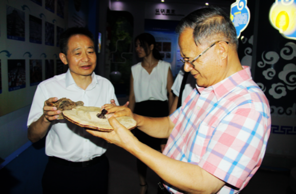 中國靈芝十大品牌|仙客來靈芝|仙客來靈芝破壁孢子粉|仙客來孢子油|仙客來靈芝飲片|仙客來破壁孢子粉|仙客來靈芝中藥飲片|馳名商標|www.yuayua.cn| 中國靈芝十大品牌|仙客來靈芝|仙客來靈芝破壁孢子粉|仙客來孢子油|仙客來靈芝飲片|仙客來破壁孢子粉|仙客來靈芝中藥飲片|馳名商標|www.yuayua.cn|