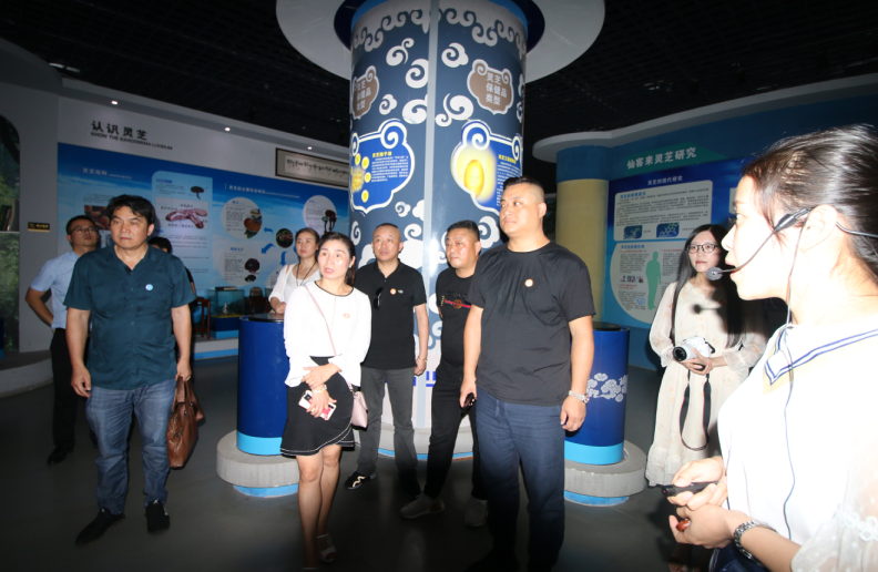 中國靈芝十大品牌|仙客來靈芝|仙客來靈芝破壁孢子粉|仙客來孢子油|仙客來靈芝飲片|仙客來破壁孢子粉|仙客來靈芝中藥飲片|馳名商標|www.yuayua.cn|