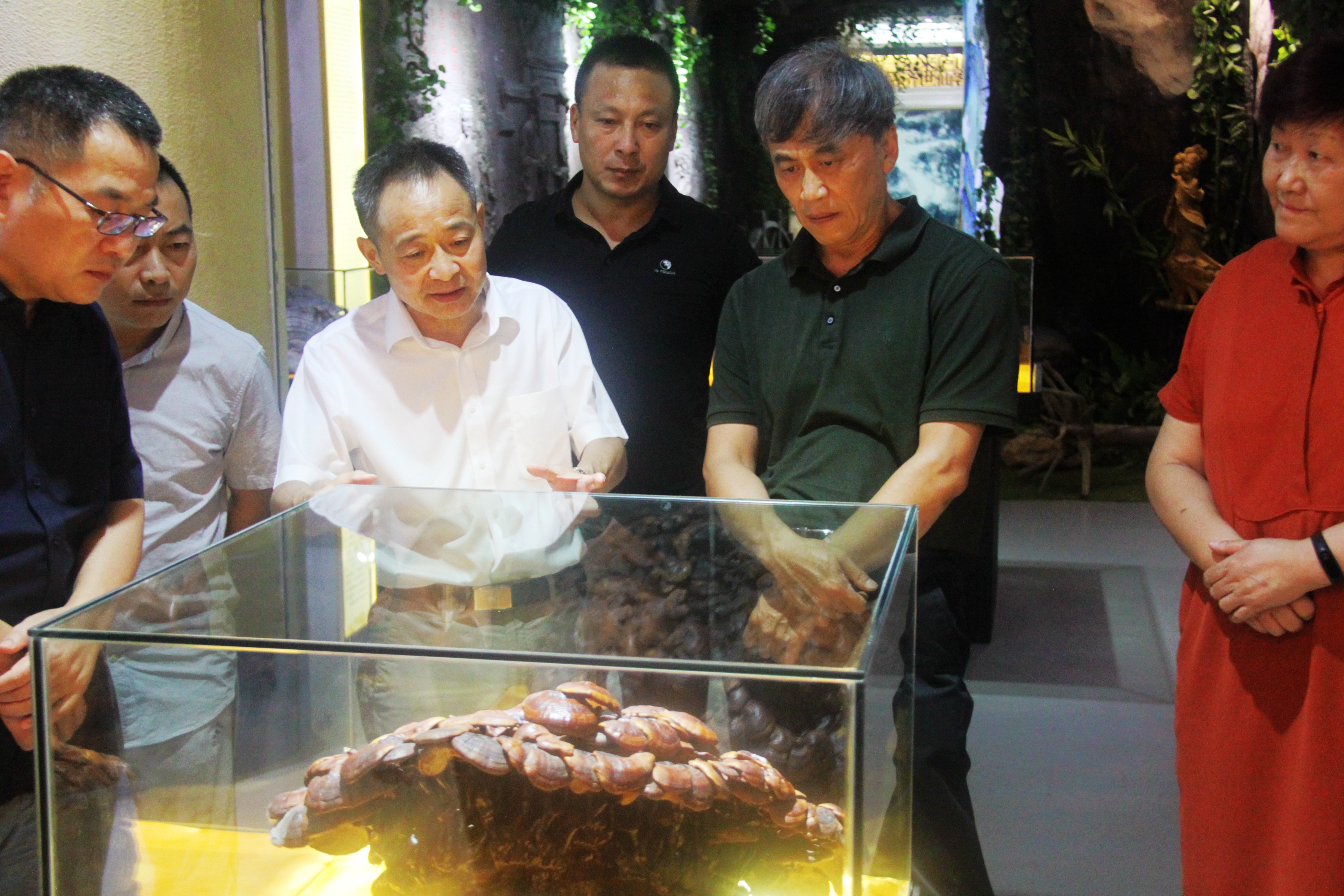 中國靈芝十大品牌|仙客來靈芝|仙客來靈芝破壁孢子粉|仙客來孢子油|仙客來靈芝飲片|仙客來破壁孢子粉|仙客來靈芝中藥飲片|馳名商標(biāo)|www.yuayua.cn| 中國靈芝十大品牌|仙客來靈芝|仙客來靈芝破壁孢子粉|仙客來孢子油|仙客來靈芝飲片|仙客來破壁孢子粉|仙客來靈芝中藥飲片|馳名商標(biāo)|www.yuayua.cn|