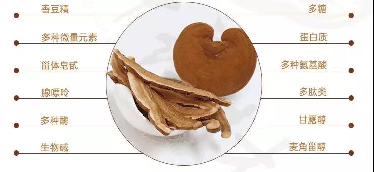 中國靈芝十大品牌|仙客來靈芝|仙客來靈芝破壁孢子粉|仙客來孢子油|仙客來靈芝飲片|仙客來破壁孢子粉|仙客來靈芝中藥飲片|馳名商標|www.yuayua.cn| 中國靈芝十大品牌|仙客來靈芝|仙客來靈芝破壁孢子粉|仙客來孢子油|仙客來靈芝飲片|仙客來破壁孢子粉|仙客來靈芝中藥飲片|馳名商標|www.yuayua.cn|