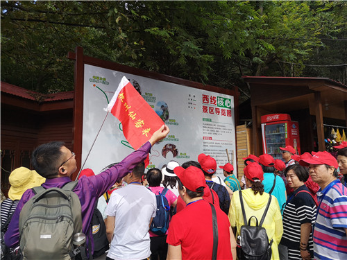 1568097852245444.jpg 杭州亞運會官方靈芝產品供應商|杭州亞運會官方供應商|中國靈芝十大品牌|仙客來靈芝|仙客來靈芝破壁孢子粉|仙客來孢子油|仙客來靈芝飲片|仙客來破壁孢子粉|靈芝孢子油|孢子粉|靈芝破壁孢子粉|靈芝|中華老字號