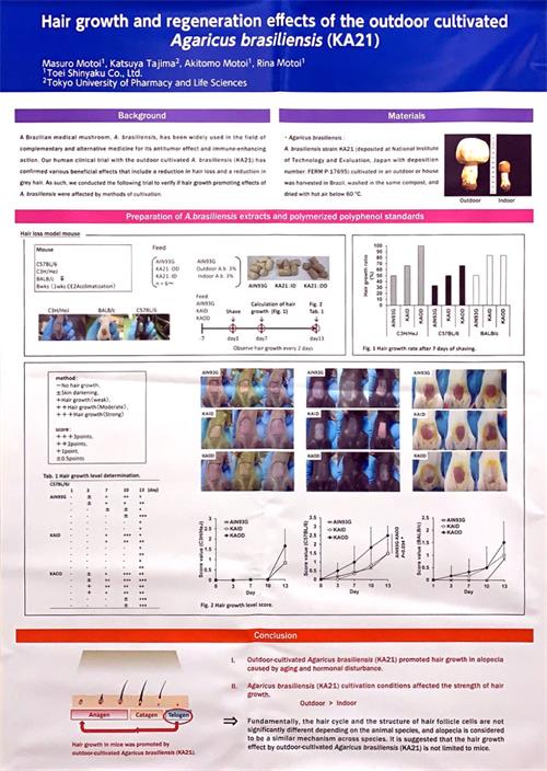 中國(guó)靈芝十大品牌|仙客來(lái)靈芝|仙客來(lái)靈芝破壁孢子粉|仙客來(lái)孢子油|仙客來(lái)靈芝飲片|仙客來(lái)破壁孢子粉|仙客來(lái)靈芝中藥飲片|馳名商標(biāo)|www.yuayua.cn| 中國(guó)靈芝十大品牌|仙客來(lái)靈芝|仙客來(lái)靈芝破壁孢子粉|仙客來(lái)孢子油|仙客來(lái)靈芝飲片|仙客來(lái)破壁孢子粉|仙客來(lái)靈芝中藥飲片|馳名商標(biāo)|www.yuayua.cn|