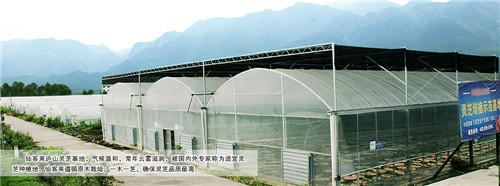 中國靈芝十大品牌|仙客來靈芝|仙客來靈芝破壁孢子粉|仙客來孢子油|仙客來靈芝飲片|仙客來破壁孢子粉|仙客來靈芝中藥飲片|馳名商標(biāo)|www.yuayua.cn| 中國靈芝十大品牌|仙客來靈芝|仙客來靈芝破壁孢子粉|仙客來孢子油|仙客來靈芝飲片|仙客來破壁孢子粉|仙客來靈芝中藥飲片|馳名商標(biāo)|www.yuayua.cn|