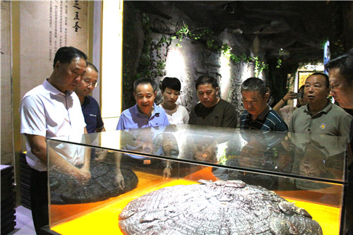 中國(guó)靈芝十大品牌|仙客來(lái)靈芝|仙客來(lái)靈芝破壁孢子粉|仙客來(lái)孢子油|仙客來(lái)靈芝飲片|仙客來(lái)破壁孢子粉|仙客來(lái)靈芝中藥飲片|馳名商標(biāo)|www.yuayua.cn| 中國(guó)靈芝十大品牌|仙客來(lái)靈芝|仙客來(lái)靈芝破壁孢子粉|仙客來(lái)孢子油|仙客來(lái)靈芝飲片|仙客來(lái)破壁孢子粉|仙客來(lái)靈芝中藥飲片|馳名商標(biāo)|www.yuayua.cn|