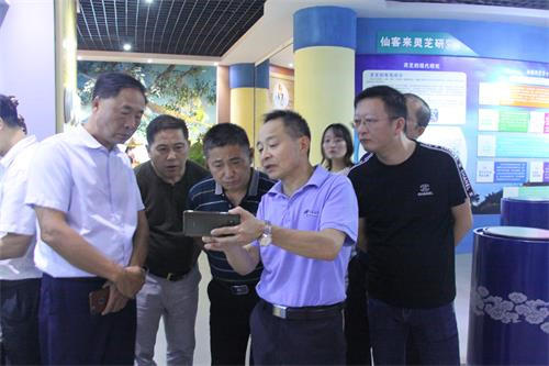 中國(guó)靈芝十大品牌|仙客來(lái)靈芝|仙客來(lái)靈芝破壁孢子粉|仙客來(lái)孢子油|仙客來(lái)靈芝飲片|仙客來(lái)破壁孢子粉|仙客來(lái)靈芝中藥飲片|馳名商標(biāo)|www.yuayua.cn| 中國(guó)靈芝十大品牌|仙客來(lái)靈芝|仙客來(lái)靈芝破壁孢子粉|仙客來(lái)孢子油|仙客來(lái)靈芝飲片|仙客來(lái)破壁孢子粉|仙客來(lái)靈芝中藥飲片|馳名商標(biāo)|www.yuayua.cn|