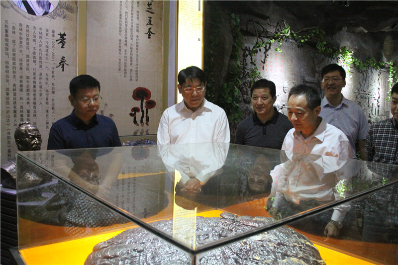 中國靈芝十大品牌|仙客來靈芝|仙客來靈芝破壁孢子粉|仙客來孢子油|仙客來靈芝飲片|仙客來破壁孢子粉|仙客來靈芝中藥飲片|馳名商標|www.yuayua.cn| 中國靈芝十大品牌|仙客來靈芝|仙客來靈芝破壁孢子粉|仙客來孢子油|仙客來靈芝飲片|仙客來破壁孢子粉|仙客來靈芝中藥飲片|馳名商標|www.yuayua.cn|