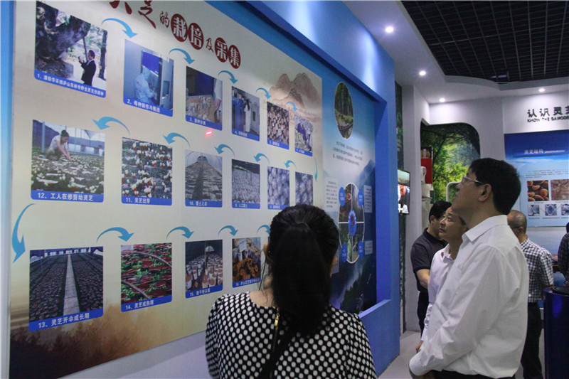 中國靈芝十大品牌|仙客來靈芝|仙客來靈芝破壁孢子粉|仙客來孢子油|仙客來靈芝飲片|仙客來破壁孢子粉|仙客來靈芝中藥飲片|馳名商標|www.yuayua.cn| 中國靈芝十大品牌|仙客來靈芝|仙客來靈芝破壁孢子粉|仙客來孢子油|仙客來靈芝飲片|仙客來破壁孢子粉|仙客來靈芝中藥飲片|馳名商標|www.yuayua.cn|