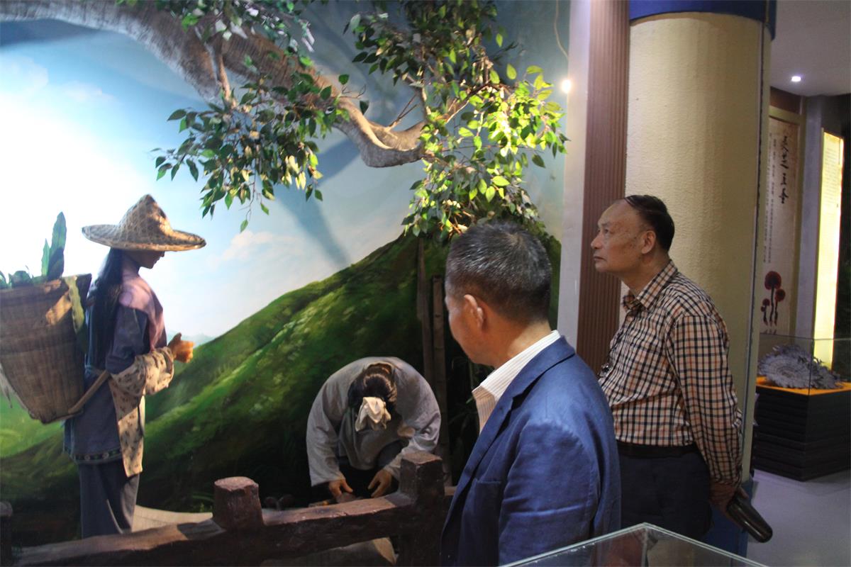 中國靈芝十大品牌|仙客來靈芝|仙客來靈芝破壁孢子粉|仙客來孢子油|仙客來靈芝飲片|仙客來破壁孢子粉|仙客來靈芝中藥飲片|馳名商標(biāo)|www.yuayua.cn| 中國靈芝十大品牌|仙客來靈芝|仙客來靈芝破壁孢子粉|仙客來孢子油|仙客來靈芝飲片|仙客來破壁孢子粉|仙客來靈芝中藥飲片|馳名商標(biāo)|www.yuayua.cn|