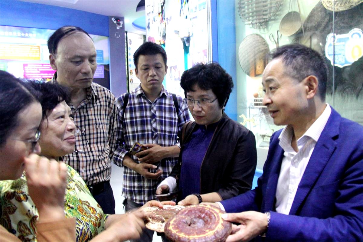 中國靈芝十大品牌|仙客來靈芝|仙客來靈芝破壁孢子粉|仙客來孢子油|仙客來靈芝飲片|仙客來破壁孢子粉|仙客來靈芝中藥飲片|馳名商標(biāo)|www.yuayua.cn| 中國靈芝十大品牌|仙客來靈芝|仙客來靈芝破壁孢子粉|仙客來孢子油|仙客來靈芝飲片|仙客來破壁孢子粉|仙客來靈芝中藥飲片|馳名商標(biāo)|www.yuayua.cn|