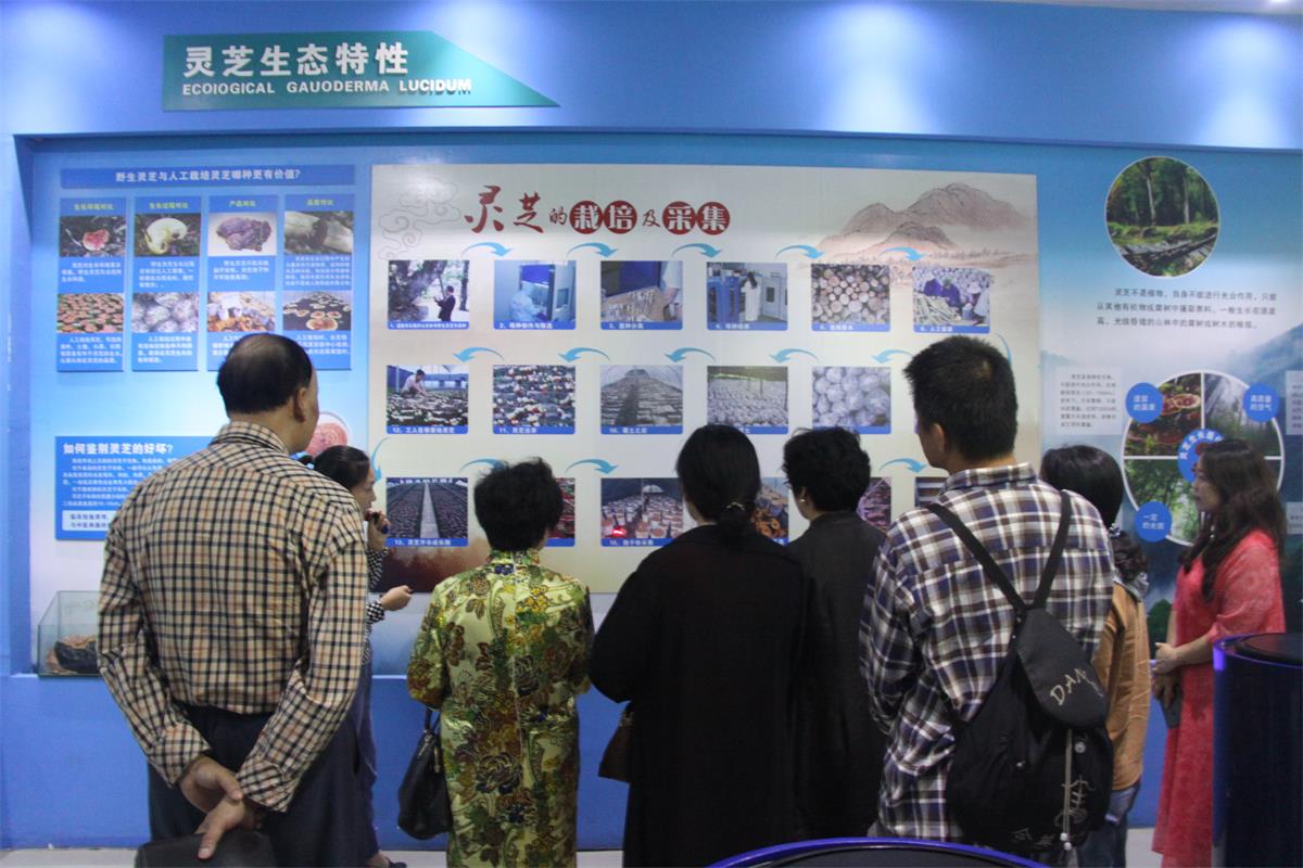 中國靈芝十大品牌|仙客來靈芝|仙客來靈芝破壁孢子粉|仙客來孢子油|仙客來靈芝飲片|仙客來破壁孢子粉|仙客來靈芝中藥飲片|馳名商標(biāo)|www.yuayua.cn| 中國靈芝十大品牌|仙客來靈芝|仙客來靈芝破壁孢子粉|仙客來孢子油|仙客來靈芝飲片|仙客來破壁孢子粉|仙客來靈芝中藥飲片|馳名商標(biāo)|www.yuayua.cn|