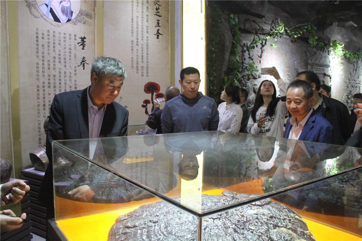 中國(guó)靈芝十大品牌|仙客來(lái)靈芝|仙客來(lái)靈芝破壁孢子粉|仙客來(lái)孢子油|仙客來(lái)靈芝飲片|仙客來(lái)破壁孢子粉|仙客來(lái)靈芝中藥飲片|馳名商標(biāo)|www.yuayua.cn| 中國(guó)靈芝十大品牌|仙客來(lái)靈芝|仙客來(lái)靈芝破壁孢子粉|仙客來(lái)孢子油|仙客來(lái)靈芝飲片|仙客來(lái)破壁孢子粉|仙客來(lái)靈芝中藥飲片|馳名商標(biāo)|www.yuayua.cn|