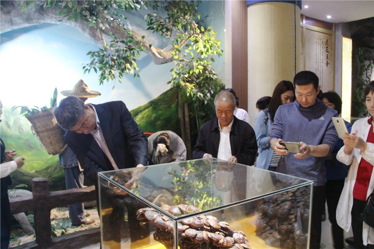 中國(guó)靈芝十大品牌|仙客來(lái)靈芝|仙客來(lái)靈芝破壁孢子粉|仙客來(lái)孢子油|仙客來(lái)靈芝飲片|仙客來(lái)破壁孢子粉|仙客來(lái)靈芝中藥飲片|馳名商標(biāo)|www.yuayua.cn| 中國(guó)靈芝十大品牌|仙客來(lái)靈芝|仙客來(lái)靈芝破壁孢子粉|仙客來(lái)孢子油|仙客來(lái)靈芝飲片|仙客來(lái)破壁孢子粉|仙客來(lái)靈芝中藥飲片|馳名商標(biāo)|www.yuayua.cn|