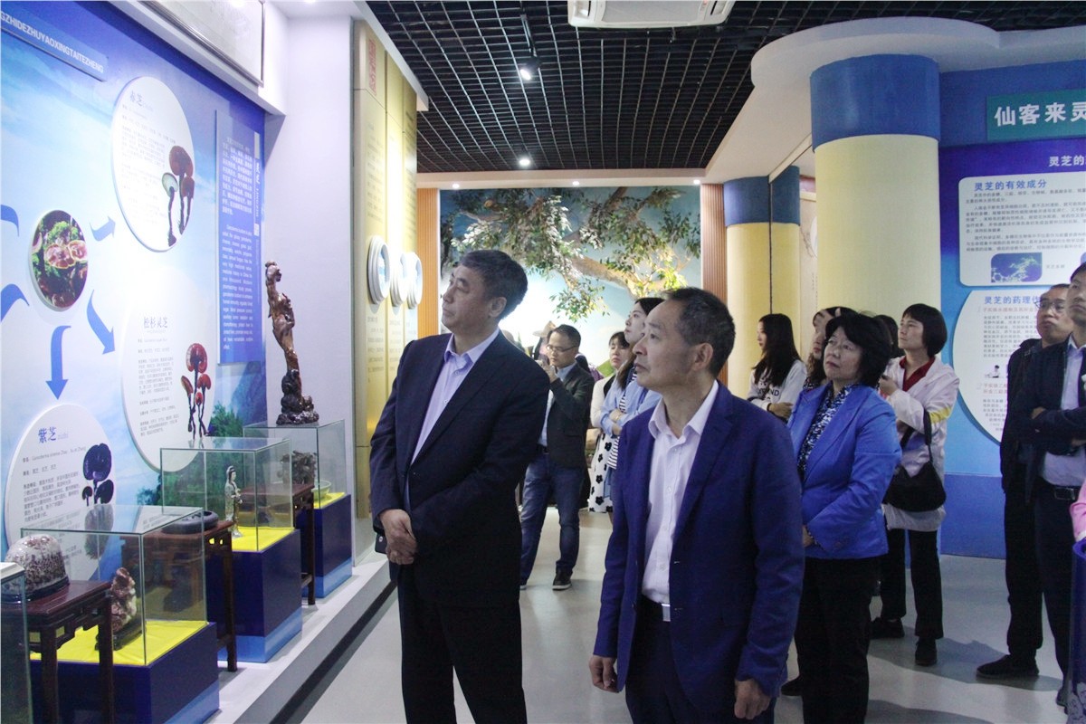 中國(guó)靈芝十大品牌|仙客來(lái)靈芝|仙客來(lái)靈芝破壁孢子粉|仙客來(lái)孢子油|仙客來(lái)靈芝飲片|仙客來(lái)破壁孢子粉|仙客來(lái)靈芝中藥飲片|馳名商標(biāo)|www.yuayua.cn| 中國(guó)靈芝十大品牌|仙客來(lái)靈芝|仙客來(lái)靈芝破壁孢子粉|仙客來(lái)孢子油|仙客來(lái)靈芝飲片|仙客來(lái)破壁孢子粉|仙客來(lái)靈芝中藥飲片|馳名商標(biāo)|www.yuayua.cn|