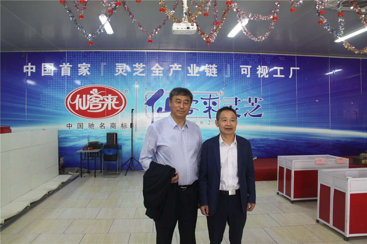 中國(guó)靈芝十大品牌|仙客來(lái)靈芝|仙客來(lái)靈芝破壁孢子粉|仙客來(lái)孢子油|仙客來(lái)靈芝飲片|仙客來(lái)破壁孢子粉|仙客來(lái)靈芝中藥飲片|馳名商標(biāo)|www.yuayua.cn| 中國(guó)靈芝十大品牌|仙客來(lái)靈芝|仙客來(lái)靈芝破壁孢子粉|仙客來(lái)孢子油|仙客來(lái)靈芝飲片|仙客來(lái)破壁孢子粉|仙客來(lái)靈芝中藥飲片|馳名商標(biāo)|www.yuayua.cn|