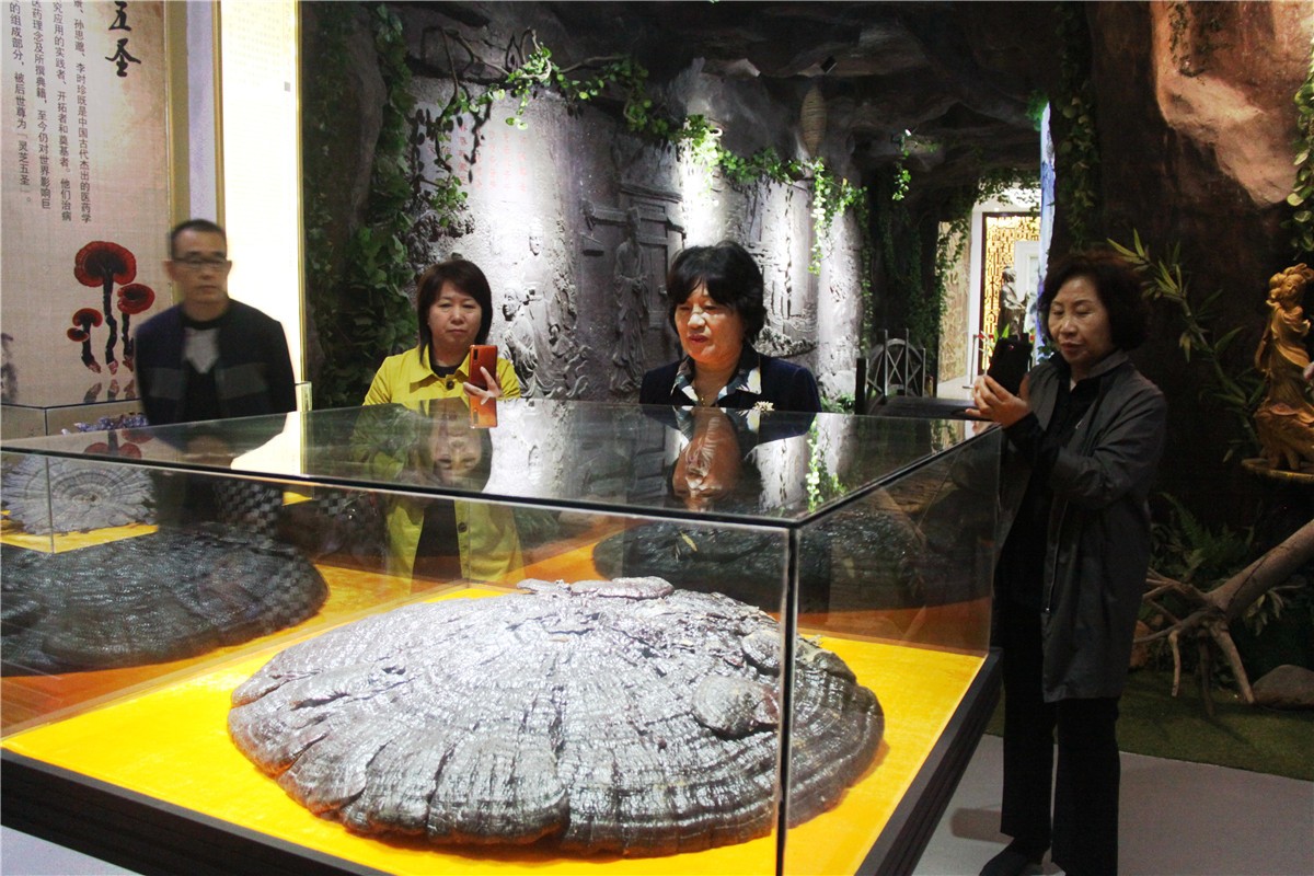 中國(guó)靈芝十大品牌|仙客來(lái)靈芝|仙客來(lái)靈芝破壁孢子粉|仙客來(lái)孢子油|仙客來(lái)靈芝飲片|仙客來(lái)破壁孢子粉|仙客來(lái)靈芝中藥飲片|馳名商標(biāo)|www.yuayua.cn| 中國(guó)靈芝十大品牌|仙客來(lái)靈芝|仙客來(lái)靈芝破壁孢子粉|仙客來(lái)孢子油|仙客來(lái)靈芝飲片|仙客來(lái)破壁孢子粉|仙客來(lái)靈芝中藥飲片|馳名商標(biāo)|www.yuayua.cn|